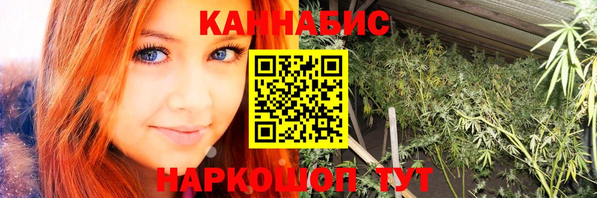Фрязино  Конопля планчик  Марихуана AK-47  Шишки марихуана MAZAR  Вход с VPN 